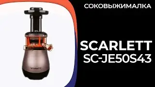 Соковыжималка Scarlett SC-JE50S43