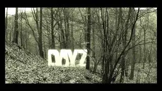DayZ Standalone Как носить 2 оружия сразу!