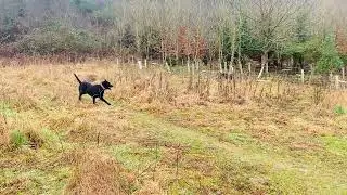 Poppy & Finch 4/2/24
