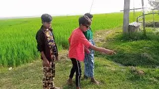 choto soufik || বাংলা মজার ভিডিও fanny is fanny