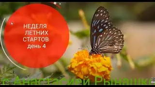 #летниестарты_с_рынашко