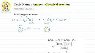 20 | BASIC CHARACTER OF AMINES