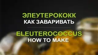 Элеутерококк: как заваривать. «Травы Байкала»