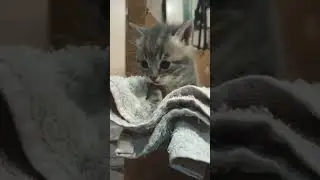 Ну какие же они милые!