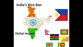 India's Rice Export Ban: Impact on Global Rice Markets