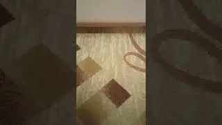 Снова пытки Круглова Д.А. ФСБ РФ прожогами СВЧ и не только по ночам.