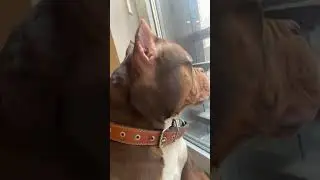 Санкт-Петербург+ Зевс=❤️❤️❤️