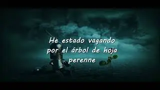 Everegreen - wasted penguinz /letra