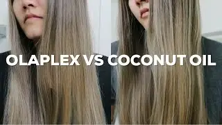 OLAPLEX VS COCONUT OIL! Which is better? How to repair damaged hair