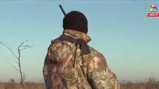 Єдиний фазанарій в Україні є на Херсонщині
