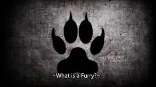 🐺Are You A Therian, Otherkin, or a Furry?🐺