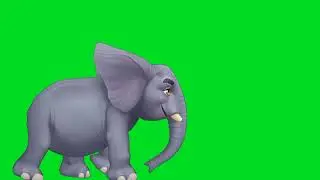 Green Screen Elephant | #animals #greenscreen  |#elephant