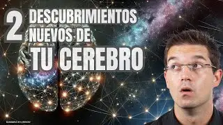 Tu cerebro crea 3 copias de cada recuerdo: Neurociencia que te sorprenderá