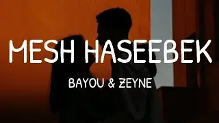 Bayou & Zeyne - Mesh Haseebek (Lyrics/كلمات)(English Translation)