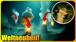 Forscher haben ETWAS unter dem Meeresgrund entdeckt! Was ist es?