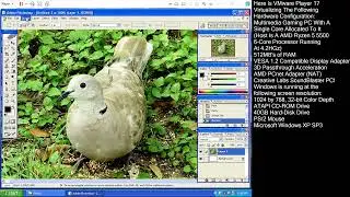Adobe Photoshop 8.0 (CS1) on VMware Player (WinXP)