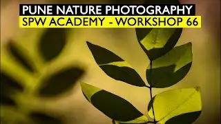 Pune Nature Photography | SPW Academy | Workshop 66