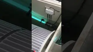 PP65 installation Sea Side Aquatics RDF