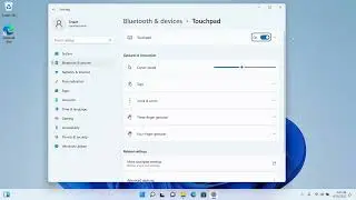 Disable Touchpad