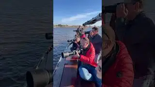 Foto Paella Patreon en Valencia 