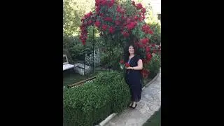 Вереснева ніч