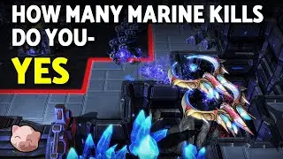 Terran players hate this build | King of Cannons #31 |