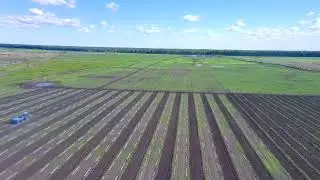 5 мая 2024 г.