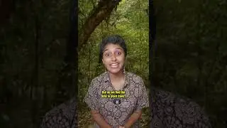 Adivasi Communities of India!