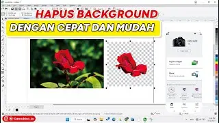 HAPUS BACKGROUND DI COREL 2025 MUDAH BANGET