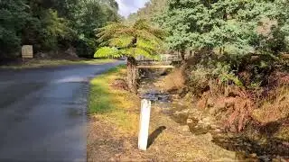 Fossilizing Australia - Walhalla, Vic