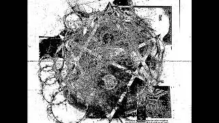 Ptwiggs - Creation in Destruction