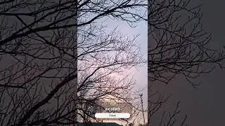 я-профан в птичьем пении! 