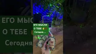 10 апреля 2024 г.