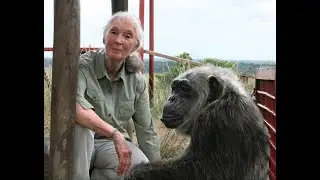 DR. JANE GOODALL LIVE WITH PBS NATURE