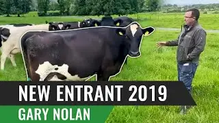 New Entrant 2019 - Cows, Grass & Improving Grazing Infrastructure Key to Success  Gary Nolan