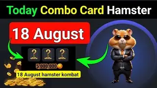daily combo card Hamster kombat || 18 August hamster kombat combo card || today combo card Hamster