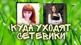 LIME COMPANY 🔥 ПОЧЕМУ здесь получается у всех! ПЭ 13.02.20
