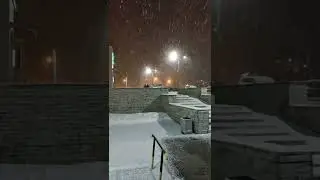 Зима. Снегопад