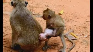 What happen wrong on Polly | Why Popeye not protect baby Polly from Kari like that?
