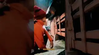 ⚡пранки от Даши😹 я всегда онлайн в телеграме - eqvirey