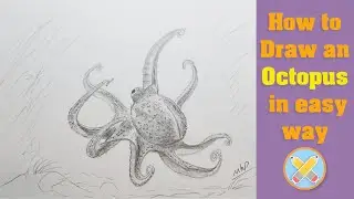 how to draw an octopus