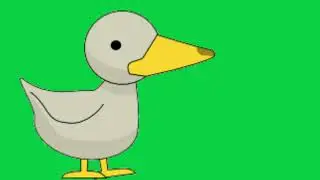 walking duck animated green screen video.