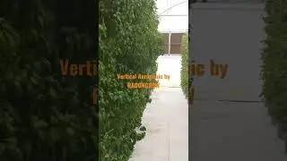 Vertial Farming with Aerotower installed at Radongrow's Farm
