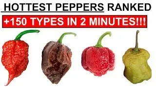 HOTTEST PEPPERS RANKED 🌶🔥🔥🔥🙀