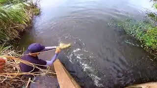 A TARRAFA VEIO PINTADA DE PIABA, PEWSCA NO ESCONDERIJO DAS TRAÍRAS