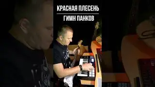 Красная плесень - Гимн панков ( cover от Rebus club ) #instrumental #loopcover  #guitar #drum