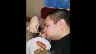 pig