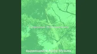 Видения (Мирные моменты)