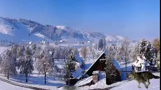 Волк бежит