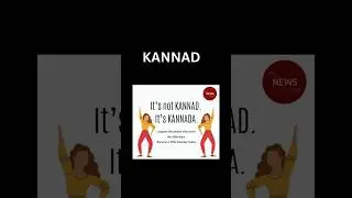Things Kannadigas HATE about North Indians!